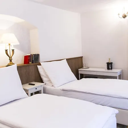 Hotel U Suteru Prague